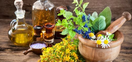World’s Most Popular Herbs and Their Uses