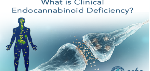 Treat Clinical Endocannabinoid Deficiency Syndrome with CBD Oil
